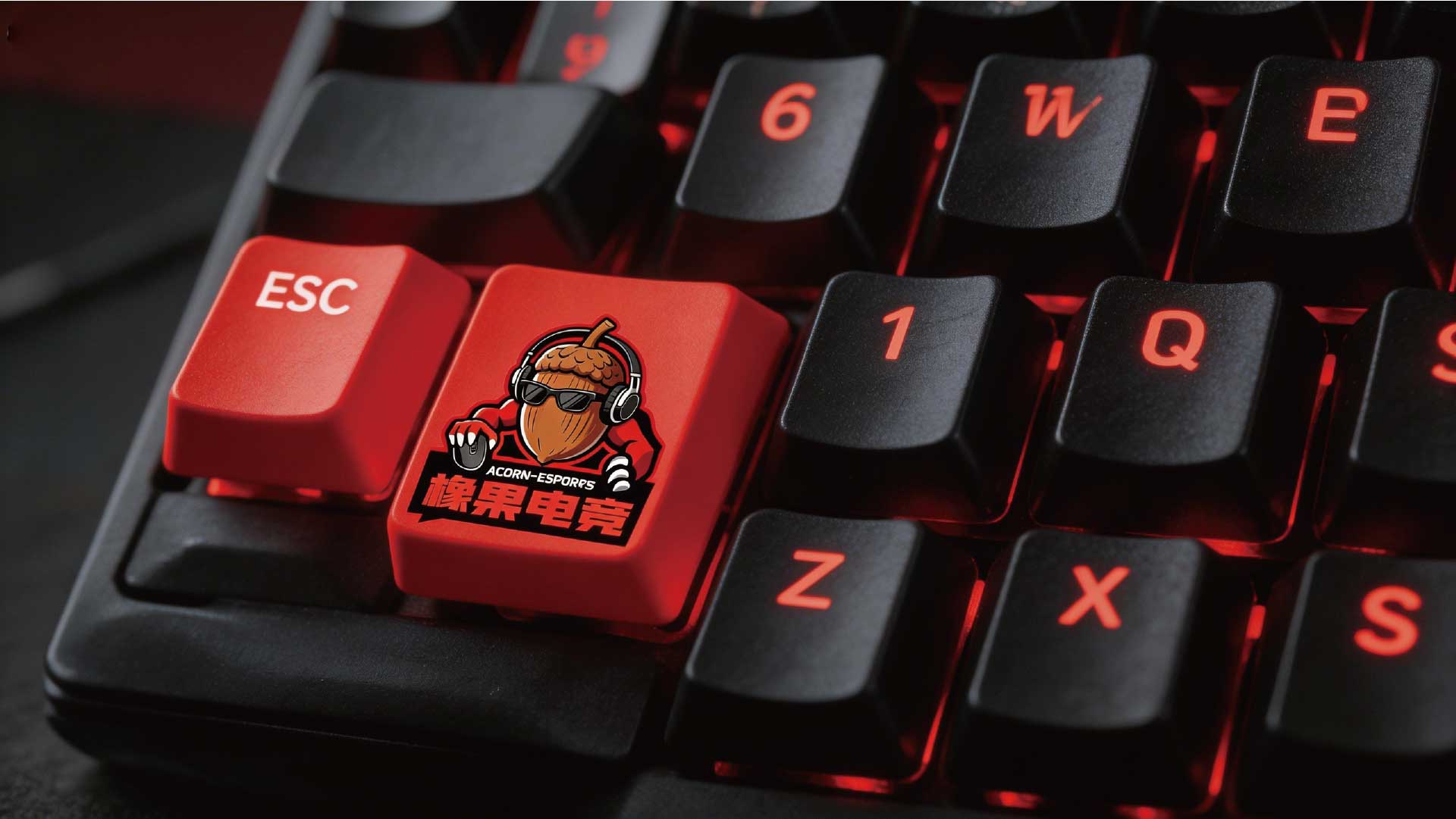 畫板 11 副本 6@72x-20.jpg