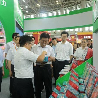 小豬品牌吉祥物，品牌設(shè)計(jì)，吉祥物設(shè)計(jì)，深圳品牌設(shè)計(jì)